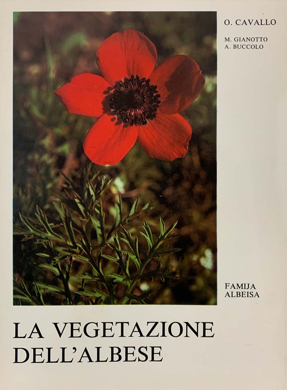 La vegetazione dell'Albese