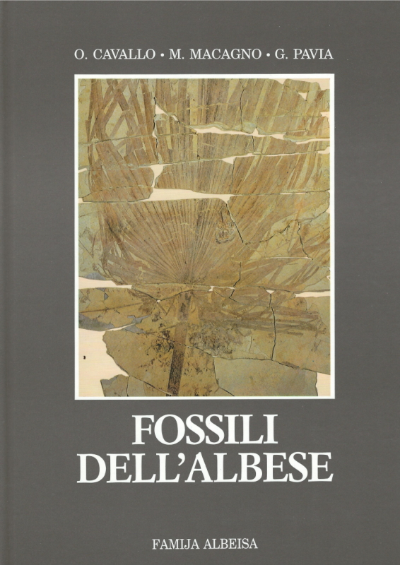 Copertina di Fossili dell'Albese